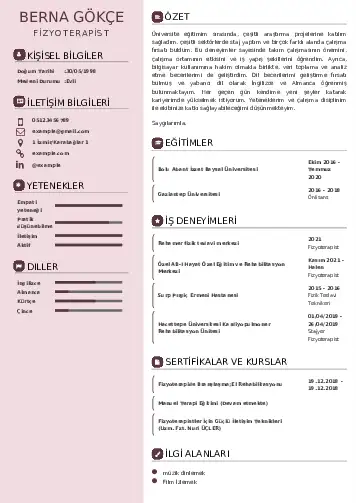 cv indir